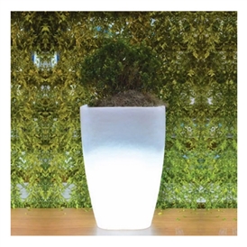 VASO INNOVARE LUMINOSITÀ JAPI